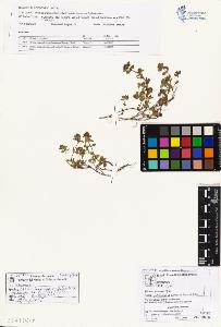 SW_BNB_s3070-01946_IMG-0000000001