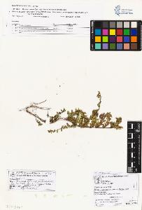 SW_BNB_s3070-01947_IMG-0000000001