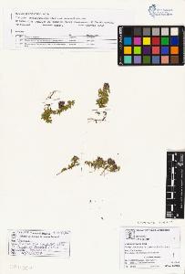 SW_BNB_s3070-01948_IMG-0000000001