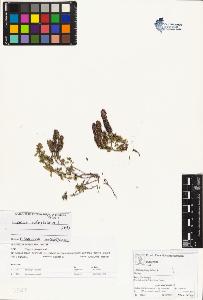 SW_BNB_s3070-01949_IMG-0000000001