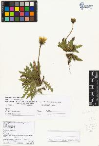SW_BNB_s3070-01951_IMG-0000000001