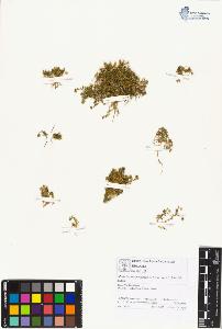 SW_BNB_s3070-01952_IMG-0000000001