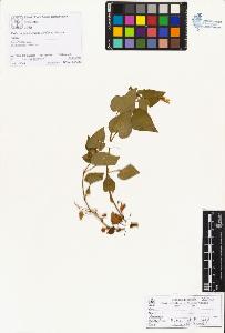 SW_BNB_s3070-01953_IMG-0000000001