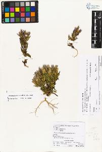 SW_BNB_s3070-01954_IMG-0000000001