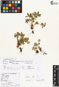 SW_BNB_s3070-01955_IMG-0000000001