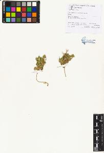 SW_BNB_s3070-01956_IMG-0000000001