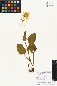 SW_BNB_s3070-01957_IMG-0000000001