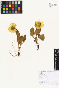 SW_BNB_s3070-01958_IMG-0000000001