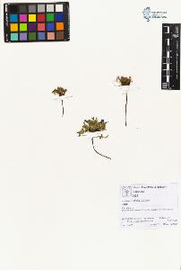 SW_BNB_s3070-01959_IMG-0000000001
