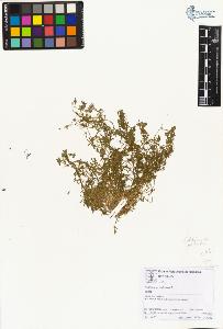 SW_BNB_s3070-01961_IMG-0000000001