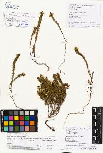SW_BNB_s3070-01962_IMG-0000000001