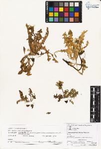SW_BNB_s3070-01963_IMG-0000000001