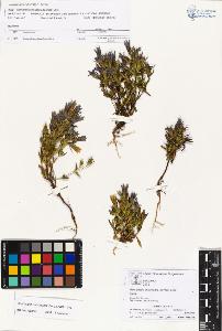 SW_BNB_s3070-01964_IMG-0000000001