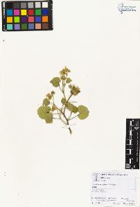 SW_BNB_s3070-01965_IMG-0000000001