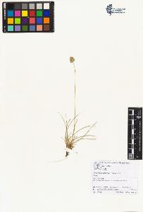 SW_BNB_s3070-01966_IMG-0000000001