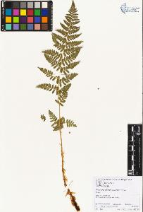 SW_BNB_s3070-01967_IMG-0000000001