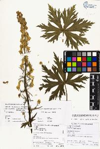 SW_BNB_s3070-01968_IMG-0000000001