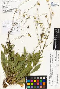 SW_BNB_s3070-01969_IMG-0000000001