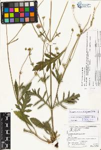 SW_BNB_s3070-01971_IMG-0000000001
