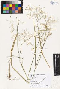 SW_BNB_s3070-01972_IMG-0000000001
