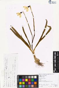 SW_BNB_s3070-01973_IMG-0000000001