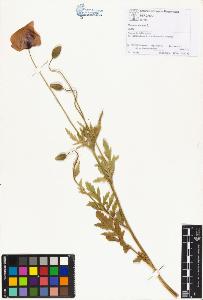 SW_BNB_s3070-01974_IMG-0000000001