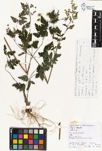 SW_BNB_s3070-01975_IMG-0000000001