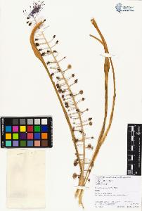 SW_BNB_s3070-01976_IMG-0000000001