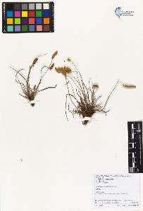 SW_BNB_s3070-01978_IMG-0000000001