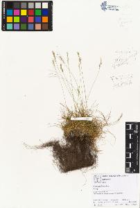 SW_BNB_s3070-01979_IMG-0000000001