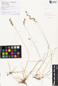 SW_BNB_s3070-01980_IMG-0000000001