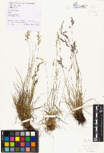 SW_BNB_s3070-01981_IMG-0000000001