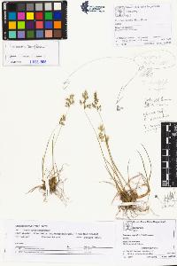 SW_BNB_s3070-01982_IMG-0000000001