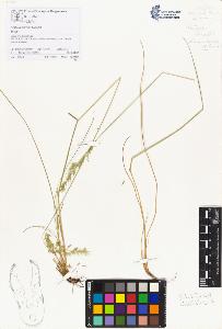 SW_BNB_s3070-01983_IMG-0000000001