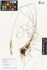 SW_BNB_s3070-01984_IMG-0000000001