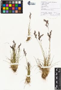 SW_BNB_s3070-01985_IMG-0000000001