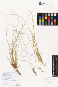 SW_BNB_s3070-01986_IMG-0000000001