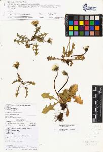 SW_BNB_s3070-01988_IMG-0000000001