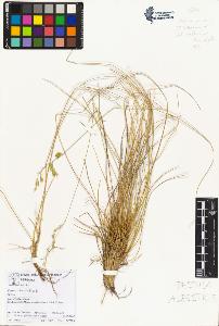 SW_BNB_s3070-01989_IMG-0000000001