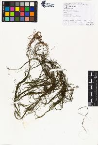 SW_BNB_s3070-01991_IMG-0000000001