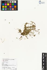 SW_BNB_s3070-01992_IMG-0000000001