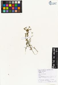 SW_BNB_s3070-01993_IMG-0000000001