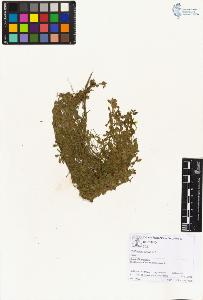 SW_BNB_s3070-01994_IMG-0000000001