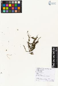 SW_BNB_s3070-01995_IMG-0000000001