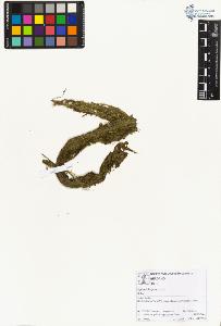 SW_BNB_s3070-01996_IMG-0000000001