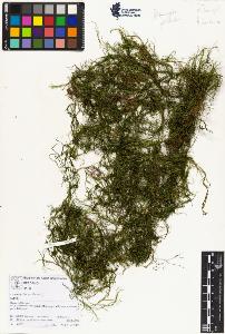 SW_BNB_s3070-01997_IMG-0000000001