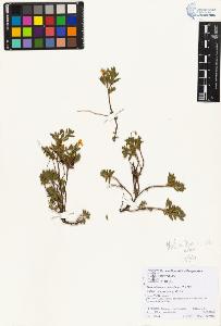SW_BNB_s3070-01998_IMG-0000000001