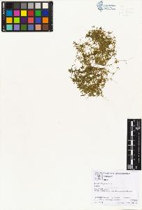 SW_BNB_s3070-02003_IMG-0000000001