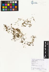 SW_BNB_s3070-02004_IMG-0000000001