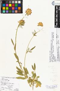 SW_BNB_s3070-02005_IMG-0000000001